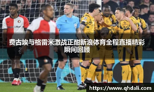 费古埃与格雷米激战正酣新浪体育全程直播精彩瞬间回顾